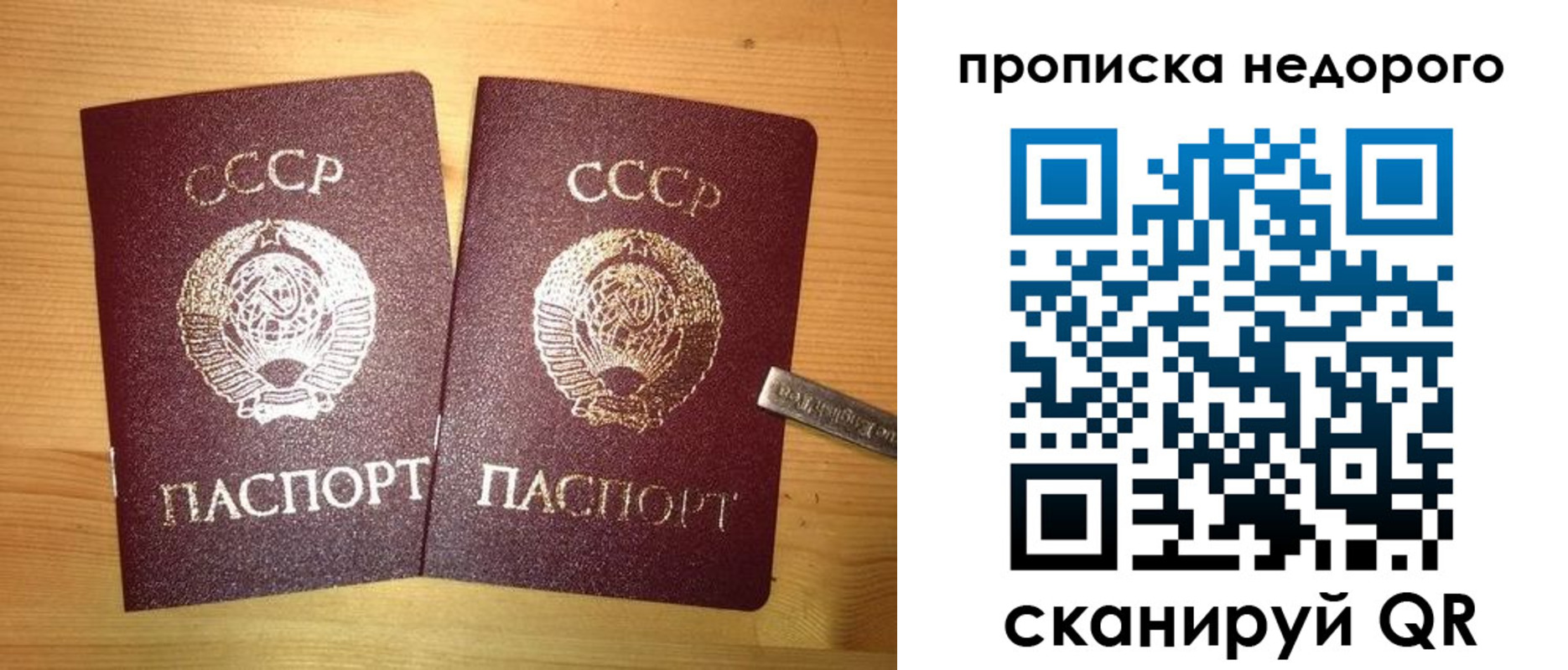 временная регистрация гарантия в Зеленоградске